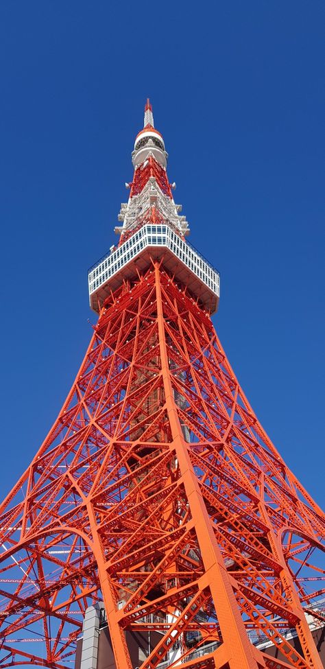 Tokyo Tower Wallpaper, Japan Tokyo Tower, Tsutenkaku Tower, Japan Wallpaper, Dog Cafe, Tokyo Tower, Japan Culture, Okinawa Japan, Shiga