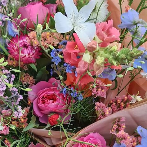 A Pocketful of Petals on Instagram: "Note to self plant more blue flowers next season! 😍💙" Annaliese Core, Flower Assortments, Random Header, Scenery Ideas, Assorted Flowers, Pretty Nature, Spotify Covers, Relaxing Colors, Beautiful Bouquet Of Flowers