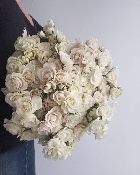 A little winter light casting onto this armload for your Wednesday evening. White Majolika Spray Roses, a wedding staple in the studio.… Snowflake Spray Rose, Winter Light, Spray Roses, In The Studio, White Roses, The Studio, A Wedding, Wedding Flowers, Floral Wreath