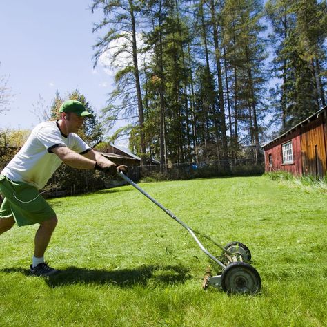 Man pushing manual lawn mower to cut grass Manual Lawn Mower, Reel Lawn Mower, Electric Mower, Reel Mower, Push Mower, Florida Gardening, Gas And Electric, Get The Job, Lawn Care