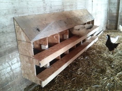 Rollout Nest Boxes Chicken Egg Laying Boxes, Roll Out Chicken Nesting Boxes Diy, Rollout Nesting Boxes Diy, Egg Roll Out Nesting Box Diy, Diy Rollaway Nesting Boxes, Roll Out Nesting Boxes, Laying Boxes For Chickens Diy, Chickens Laying Eggs, Chicken Laying Boxes