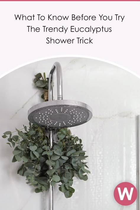 If you've ever dreamed of bathing under a waterfall in the woods, you're going to want to check out the latest shower trend taking over Instagram. You've probably seen it — people are hanging bunches of eucalyptus branches from their shower heads. #eucaplytusshower Bathroom Decor Ideas Green, Decoration With Plants, Under A Waterfall, Decor With Plants, Plants Guide, Small Bathroom Decor Ideas, Eucalyptus Branches, Easy Paper Crafts Diy, Bathroom Plants