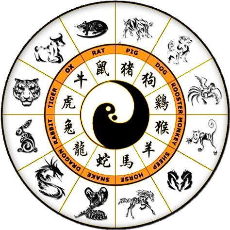 #ChineseZodiac 12 Chinese Zodiac Signs, Zodiac Signs Animals, Zodiac Signs Elements, Zodiac Circle, Zodiac Signs Symbols, Zodiac Signs Meaning, Zodiac Wheel, Zodiac Calendar, Chinese Astrology