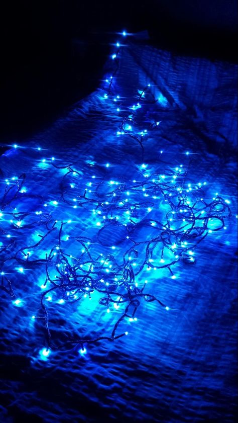 Blue Twinkle Lights, Blue Lights Aesthetic, Blue And White Christmas Lights, Silver Christmas Wallpaper, Christmas Categories, Blue Christmas Lights, Monochromatic Blue, Solstice Party, Blue Wolf