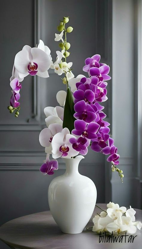 Purple Orchid Bouquet, Orchid Vase, Orchid Photography, Orchid Flower Arrangements, Very Beautiful Flowers, Strange Flowers, Orchid Bouquet, White Ceramic Vase, Exotic Orchids