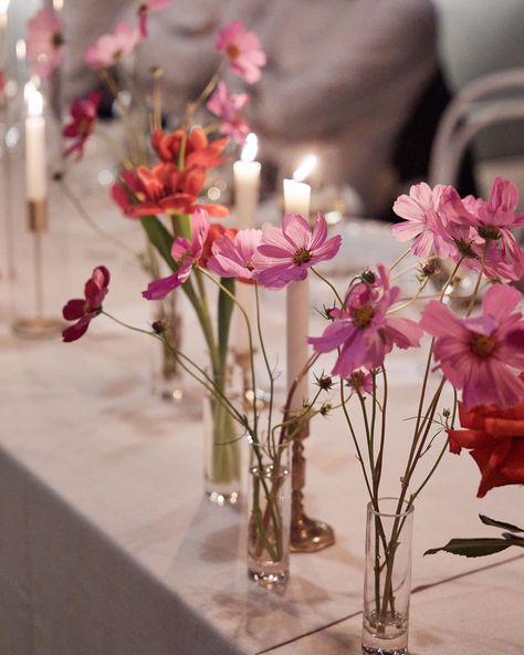 For Shannon + Chris 🌸 In the charming setting of Barragunda, a French brasserie-themed wedding exuded romance and sophistication through its bold colour palette and elegant touches. The venue was adorned with vibrant magenta, fuchsia pink, and cherry red roses, complemented by dahlias and delicate cosmos. The vivid hues created a warm, inviting atmosphere, while gold accents were carefully integrated throughout the decor, adding a touch of opulence and refinement. Planning/styling: @whiteto... Pink And Red Wedding Flowers, Hot Pink Wedding Flowers, Bold Colour Palette, Flower Jars, French Brasserie, Fuschia Wedding, Pink Cosmos, Hot Pink Weddings, Red Wedding Flowers