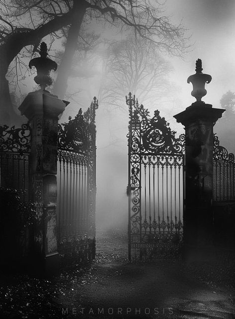 Scary Black And White Photos, Abandoned Theme Park Aesthetic, Ghost Core Aesthetic, Black And White Goth Aesthetic, Gothic Royalty Aesthetic, Victorian Graveyard, Gothic Vintage Aesthetic, Coffin Aesthetic, Creepy Street