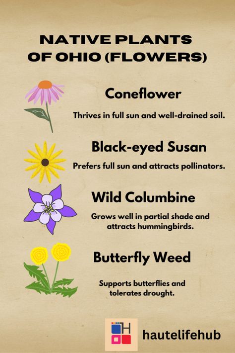 Ohio Garden Chronicles- Gardening in Ohio: Your Ultimate Guide Native Ohio Flowers, Ohio Native Flowers, Ohio Native Plants, Ohio Wildflowers, Ohio Flowers, Ohio Garden, Cleveland Botanical Garden, Bacterial Diseases, Wildflower Field