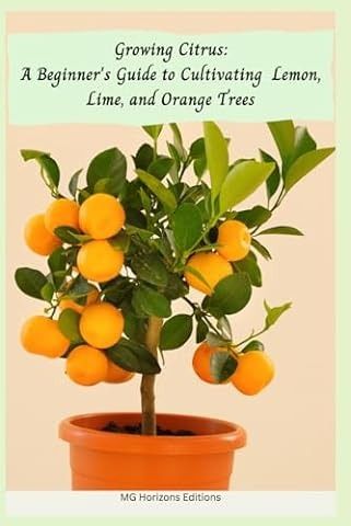 Growing Tasty Tropical Plants in Any Home, Anywhere: (like lemons, limes, citrons, grapefruit, kumquats, sunquats, tahitian oranges, barbados ... black pepper, cinnamon, vanilla, and more...): Martin, Byron E., Martin, Laurelynn G.: 9781603425773: Amazon.com: Books Fruits Creative, Growing Lemons, Growing Citrus, Citrus Tree, Citrus Garden, Orange Trees, Citrus Trees, Citrus Fruits, Potted Trees