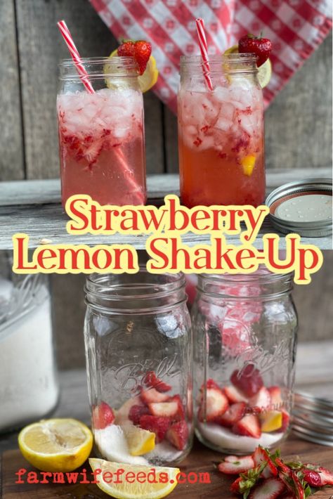 Lemon Shake Ups, Lemon Shakeup Recipe, Shake Up Lemonade, Fair Lemonade Recipe Lemon Shake Up, Lemonade Shake Up Recipe, Carnival Lemonade Recipe, Lemon Shake Up Recipe, Shaken Lemonade, Carnival Lemonade