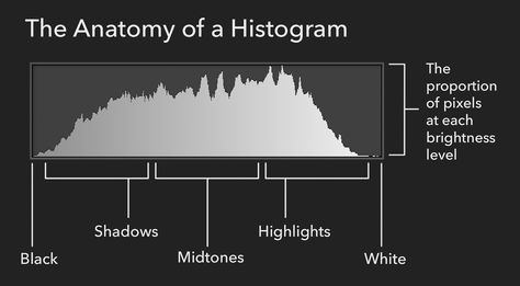 Photography Histogram, Histogram Photography, Manual Photography, Photography Cheat Sheets, Photo Techniques, Photography Lessons, Flash Photography, White Picture, Colour Photograph