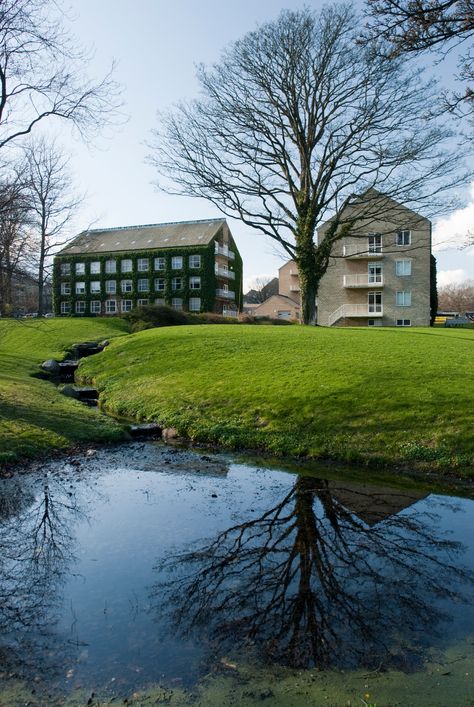 Danish Landscape, University Architecture, Student Accommodation, Ring Road, Natural Contour, University Campus, Life Plan, Aarhus, Brickwork