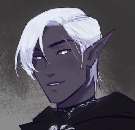 Drow Male, But At What Cost, Male Elf, Elf Man, Pathfinder Character, Elf Art, Dungeons And Dragons Characters, Dnd Art, Dark Elf