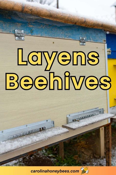 Horizontal Bee Hive, Bee Hive Painting Ideas, Layens Hive, How To Start Beekeeping, Top Bar Hive, Bee Hive Plans, Raising Bees, The Birds And The Bees, Backyard Beekeeping