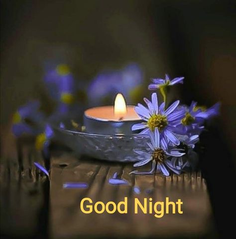 Beautiful Good Night Images Sweet Dreams, Good Night Quotes For Her, Quotes For Her Romantic, Night Animation, Good Night Blessings Quotes, Good Night To You, Photos Of Good Night, Good Night Beautiful, Good Morning Flowers Rose