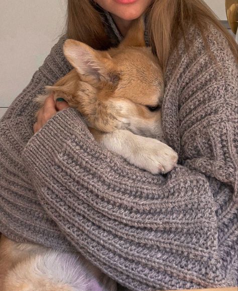 Corgi Aesthetic, Cute Corgi Puppy, Corgi Mom, Corgi Puppy, Cute Corgi, Fluffy Animals, Cute Animal Pictures, Cute Creatures, Goldendoodle