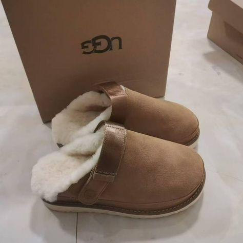 Brand New In Box Uggs Goldenstar Clog, Tan Ugg Slippers, Brown Uggs Slippers, Cozy Brown Shearling Slippers, Womens Uggs Koolaburra.com, Womens Clogs, Ugg Shoes, Mule Clogs, Womens Uggs