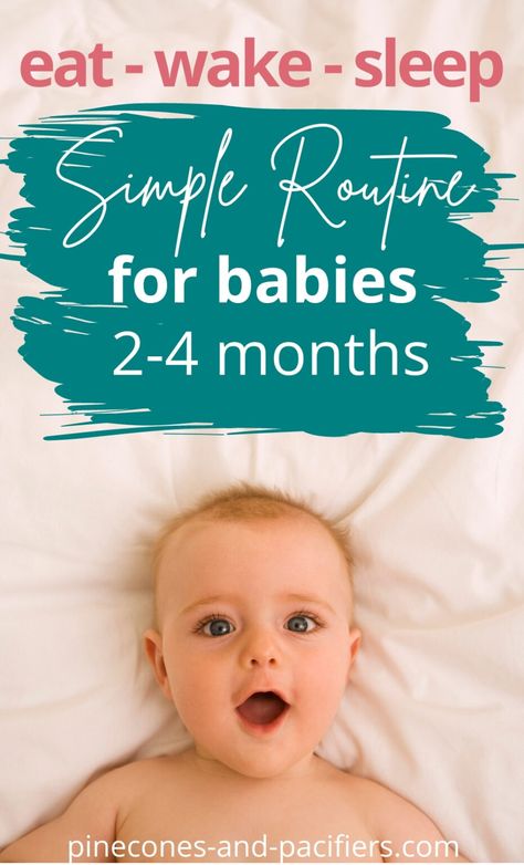 4-5 Month Old Schedule, 2 Month Old Schedule, Newborn Survival, Two Month Old Baby, Flexible Schedule, 2 Month Old Baby, Baby Wise, 2 Month Baby, Simple Routine