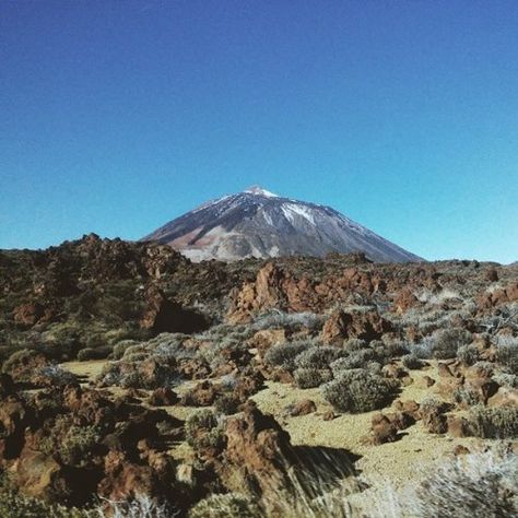 Shrubland Landscape, Shield Volcano, Cartoon World, Amazing Nature Photos, Mount Rainier, Volcano, Nature Photos, National Park, National Parks