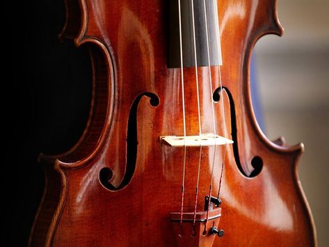 Good Branding, Antonio Stradivari, Violin Makers, Cellos, Weekly Newsletter, Image Notes, What If, Violin, Musical Instruments