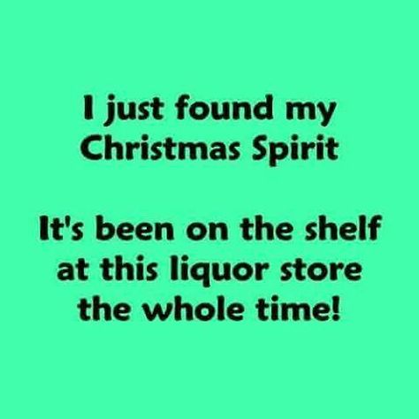 Christmas spirit Bah Humbug Quotes, Christmas Liquor, Christmas Shop Window, Liquor Shelf, Drunk Humor, Bah Humbug, Drinking Quotes, Holiday Christmas Tree, Bottle Shop