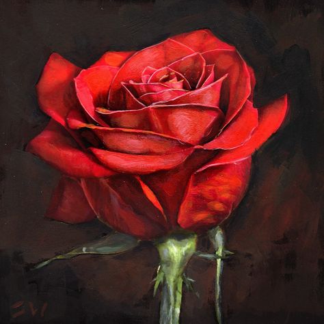 Rose Art Painting, Red Rose Drawing, Rose Painting Acrylic, Sketch Rose, Rose Line Art, Life Study, Rose Sketch, Painting The Roses Red, Rose Oil Painting