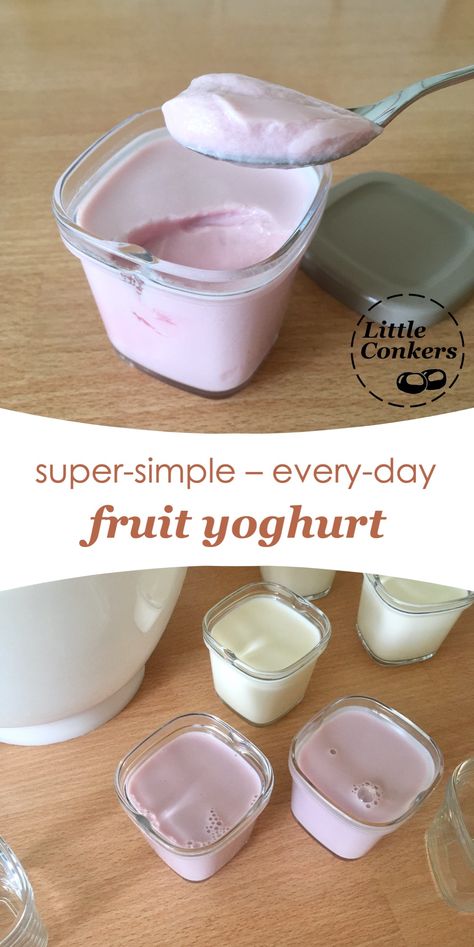 Fruit Yoghurt, Homemade Yogurt Recipes, Kids Yogurt, Yoghurt Recipe, Fruit Yogurt, Yogurt Flavors, Yogurt Maker, Cheese Making, Fruit Mixes