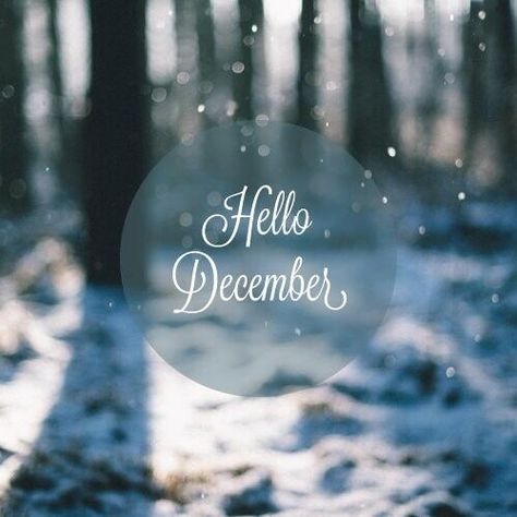 December Hello December Tumblr, December Tumblr, Hello December Quotes, Hello December Images, January Pictures, January Hello, December Images, Welcome December, December Quotes