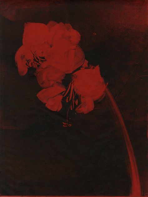 Billy Kidd, Cinema Art, 인물 사진, Red Aesthetic, Red Flower, Dark Aesthetic, Pretty Pictures, Aesthetic Art, A Black