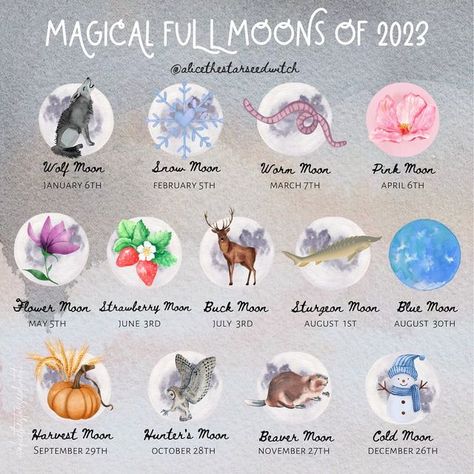 A L I C E ✨🌿 on Instagram: "🌕 FULL MOONS OF 2023 🌕 Here are the upcoming full moons for 2023 and some of their traditional names from the Wolf moon in January, 🐺 to the Cold moon in December. 🥶 (Although they have many different names in various cultures throughout the world.) 💙 This year we have an extra full moon, a blue moon on August 30th/31st, depending where you are in the world. What is a blue moon? In this case it will be a ‘monthly full moon’ which is the second full moon in a cal Full Blue Moon August 2023, August Full Moon 2023, Moons Of 2023, Full Moon Taurus, Celtic Tree Astrology, Full Strawberry Moon, Hunters Moon, Moon Hunters, Full Blue Moon