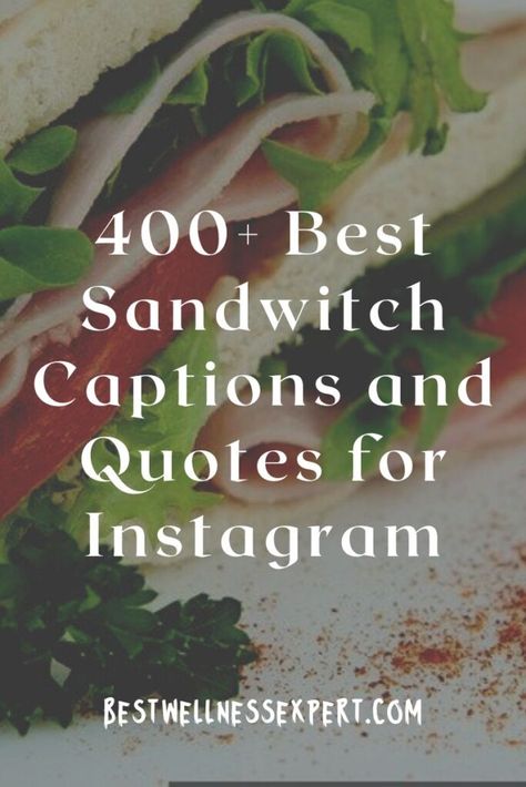 400+ Best Sandwitch Captions and Quotes for Instagram Sandwich Quotes Funny, Sandwich Captions Instagram, Sandwich Quotes, Sandwiches Quote, Grilled Cheese Bar, Panini Bread, National Sandwich Day, Cheese Panini, Catchy Captions