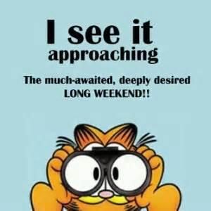 I can't wait until the #weekend. 1 more day! #Friday #TGIF #Saturday #TGIS #kensherman902 Long Weekend Quotes, Garfield Quotes, Happy Thursday Quotes, Three Day Weekend, Thursday Quotes, Garfield And Odie, Weekday Quotes, Weekend Quotes, Weekend Humor