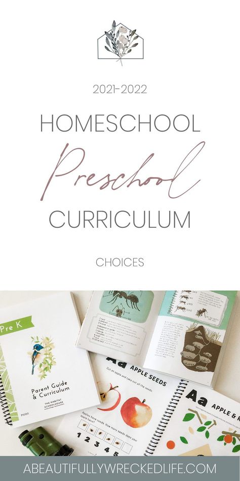 Homeschooling Activities Preschool, Homeschooling 1st Grade Curriculum, Home School Prek Curriculum, Homeschool Preschool Curriculum Age 4, Homeschool Lesson Plans Preschool, How We Learn, Prek Homeschool Curriculum, How To Start Homeschooling Preschool, Diy Homeschool Curriculum