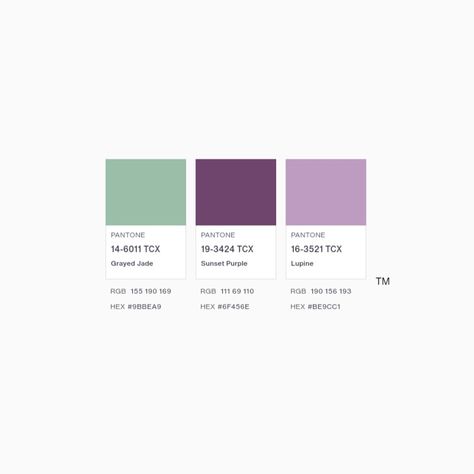 Lupine Color Palette, Violet Dessert, Grayed Jade, Sunset Purple, Draw Reference, Purple Palette, Evergreen Garden, Purple Color Palettes, Open Houses