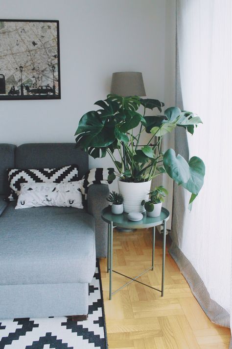 IKEA Gladom table - urban jungle #plants #urbanjungle #interior #monstera #minimal #ikea Ikea Gladom Styling, Ikea Plants Ideas, Plant Jungle Living Room, Ikea Plant Stand Ladder, Ikea Terrarium Stand, Gladom Ikea, Scandi Room, Ikea Vildapel Plant Stand, College Apartment Living Room