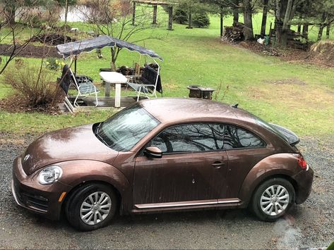 Brown Vw Beetle, Bug Beetle, Bug Car, Car Deco, Beetle Car, Mom Car, Girly Car, Car Goals, Car Ideas