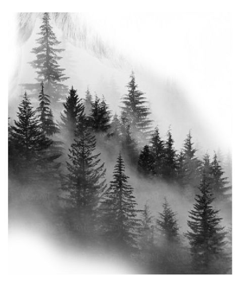 Misty Forest Tattoo, Forrest Tattoo Designs, Montain Tattoo Designs, Pine Forest Tattoo, Misty Tattoo, Dark Nature Tattoo, Forest Landscape Drawing, Forest Tattoo Design, Cool Nature Tattoos