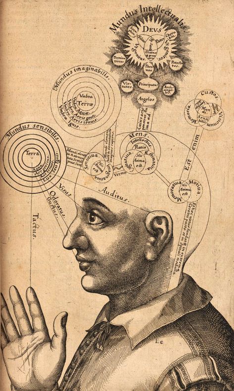 Phenomenological Psychology | Internet Encyclopedia of Philosophy Human Head, A4 Poster, Human Mind, Antique Prints, Fine Art Paper, Les Oeuvres, Fine Art Prints, Spirituality, Human Body