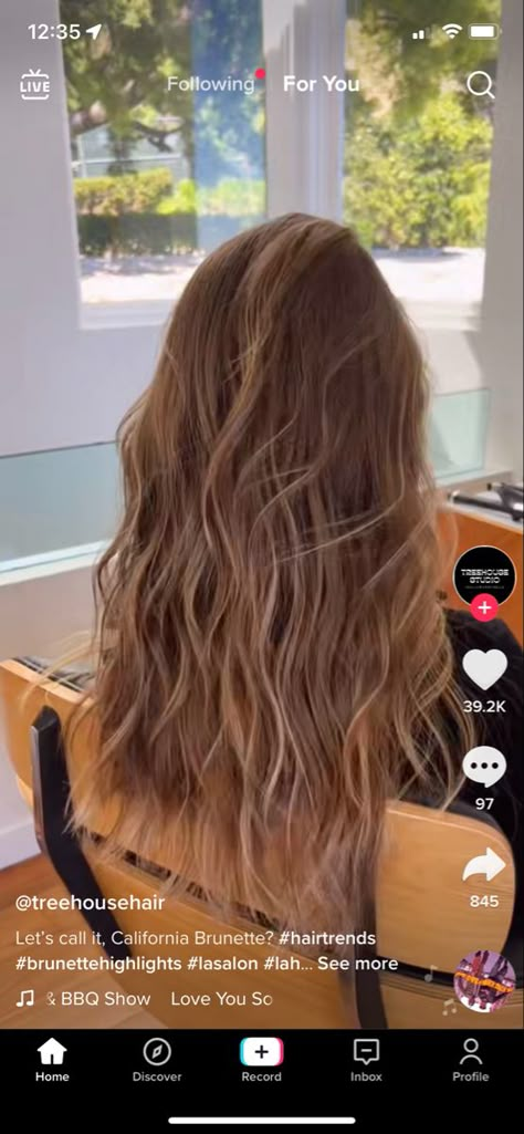 California Brunette, California Blonde, Light Brunette Hair, Brown Hair Inspiration, California Hair, Light Brunette, Honey Brown Hair, Brown Hair Inspo, Brunette Hair With Highlights