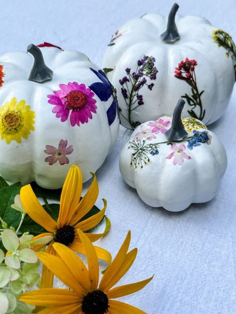 Enhance the beauty of your fresh or faux pumpkins with pretty pressed flowers. With just a few simple supplies you can make your own DIY pressed flower pumpkin. Flower Pumpkin, Craft Pumpkins, Princess Crafts, Pumpkin Vase, Pretty Crafts, Paper Cocktail Napkins, Slime Craft, Foam Pumpkins, Unicorn Crafts