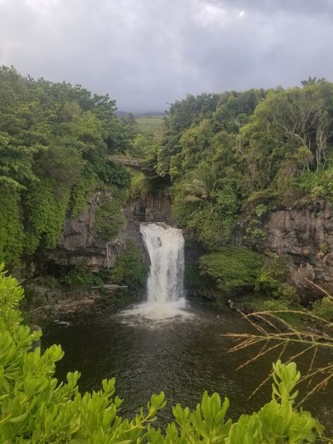 Flower Nature Aesthetic, Waterfall Hawaii, Rainy Day Beach, Maui Hawaii Aesthetic, Waterfall Tropical, Aesthetic Jungle, Waterfall Jungle, Happy Rainy Day, Spring Break Girls