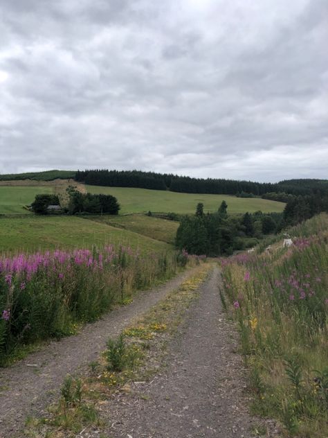 Scotland Countryside Aesthetic, Scotland Lifestyle, Scotland Aesthetic Summer, Aesthetic Scotland, Edinburgh Countryside, Life In Scotland, Scottish Countryside Aesthetic, Scottish Summer, Summer In Scotland