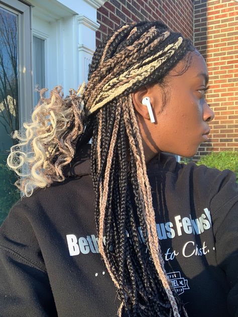 Hairstyles With Skunk Stripe, Skunk Stripes Hair, Skunk Braids, Small Knotless Braids, Small Knotless, Skunk Stripe, Big Box Braids Hairstyles, Colored Braids, Box Braids Hairstyles For Black Women