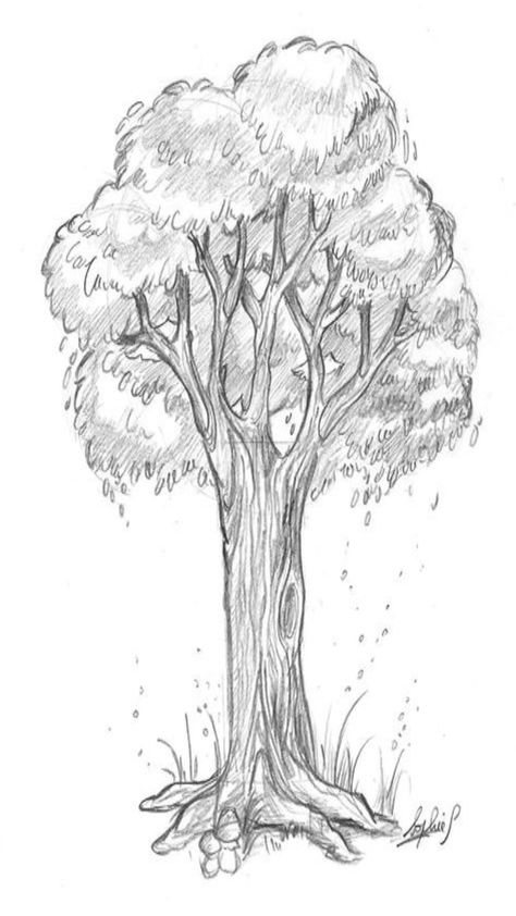 Tree Sketches Pencil, Fantasy Tree Drawing, Trees Art Drawing, Tree Drawing Simple, Pencil Trees, Trees Art, Tree Textures, Nature Art Drawings, Beauty Culture