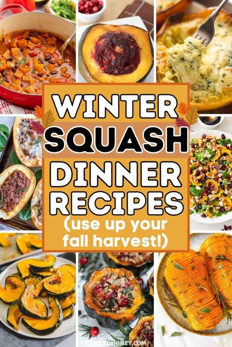 21 Winter Squash Recipes for Fall And Beyond - ZEN AND HONEY Dutch Oven Squash Recipes, Fall Recipes Squash, Recipes With Winter Squash, Sunshine Squash Recipes, Squash Recipes For Thanksgiving, Autumn Frost Squash Recipe, Squash Dinner Ideas, Ideas For Squash, Autumn Squash Recipes