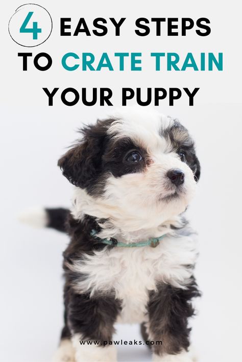 Puppy Training Basics, New Puppy Checklist Training, Puppy Area Ideas, Easy Puppy Training, Create Training Puppies, Dog Crate Training Schedule, Crate Training Puppy While Working, Puppy Kennel Training, Puppy Containment Ideas