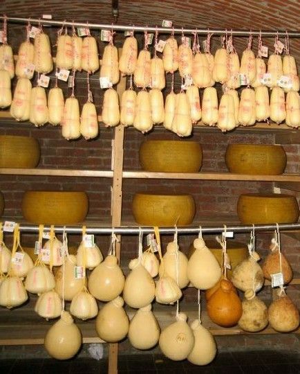 Cheese Caves, Cheese Cave, Farm Cheese, Wine Barrel Furniture, Wine Cave, Cheese Wine, Root Cellar, Cheese Making, Cheese Shop