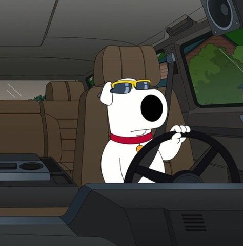 Playlist Covers Family Guy, Family Guy Playlist Cover, Oldie Playlist Cover, Driving Playlist Cover Funny, Brian Griffin Wallpaper, Brian Family Guy Pfp, Brian Griffin Icon, Stewie Griffin Pfp, Brian Griffin Pfp