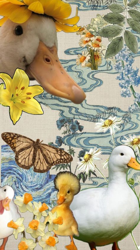 Duck Collage, Ducks, Collage