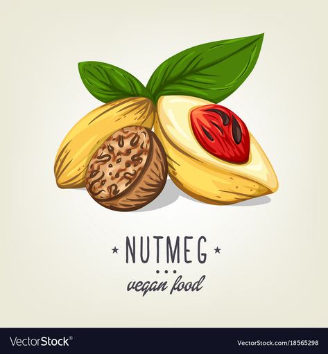 Nutmeg Tattoo, Nutmeg Illustration, Pepper Tattoos, Wood Cookie, Drawing Time, Wood Cookies, Tutorials Drawing, Dr Pepper, Art Tutorials Drawing